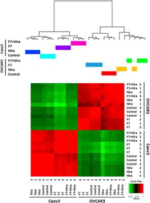 Integrated transcriptome and cell phenotype analysis suggest involvement of PARP1 cleavage, Hippo/Wnt, TGF-β and MAPK signaling pathways in ovarian cancer cells response to cannabis and PARP1 inhibitor treatment